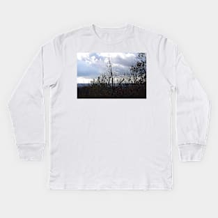 clouds and trees Kids Long Sleeve T-Shirt